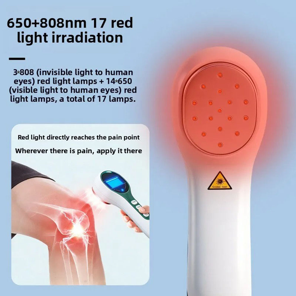 650+808nm Physiotherapy Equipm - Spa And Wellness ulasan dan harga